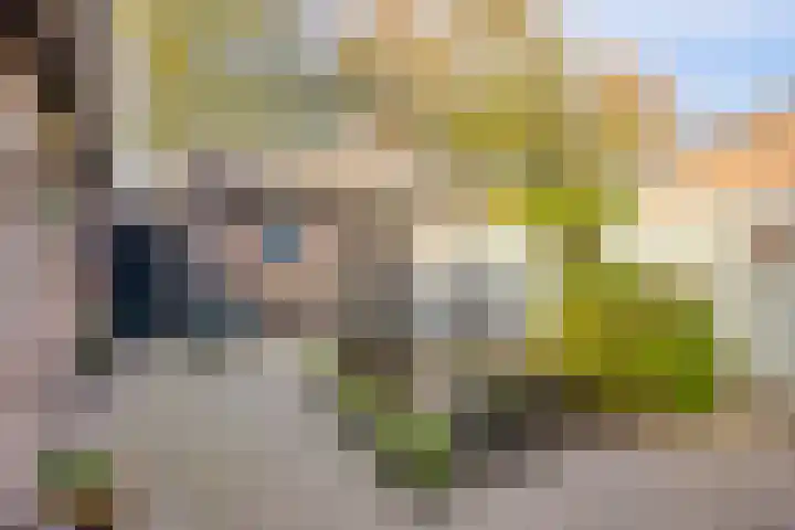 Julianastraat 32 Halsteren thumbnail 17