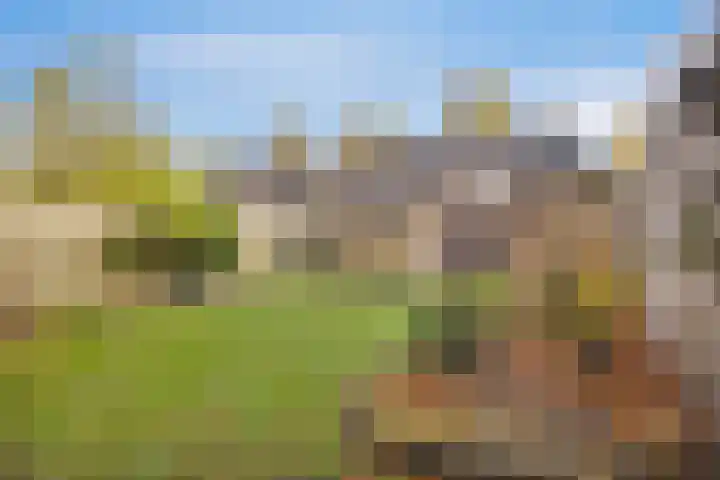 Julianastraat 32 Halsteren thumbnail 18