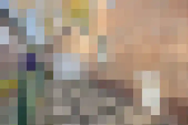 Julianastraat 32 Halsteren thumbnail 20