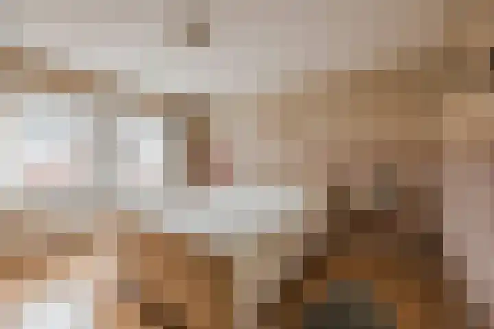 Julianastraat 32 Terneuzen thumbnail 16