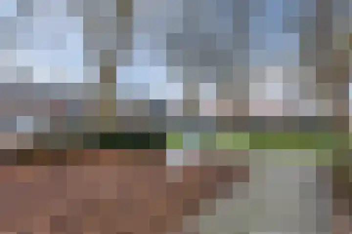 Julianastraat 32 Terneuzen thumbnail 29