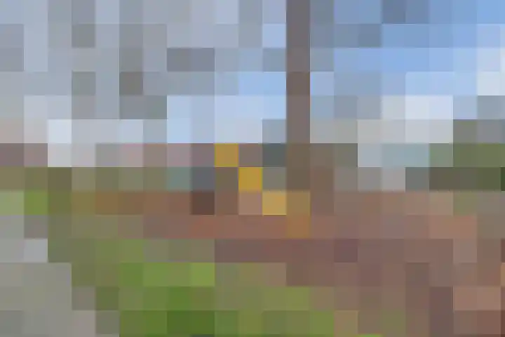 Julianastraat 32 Terneuzen thumbnail 30