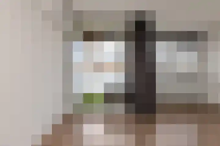 Julianastraat 32 Uden thumbnail 13