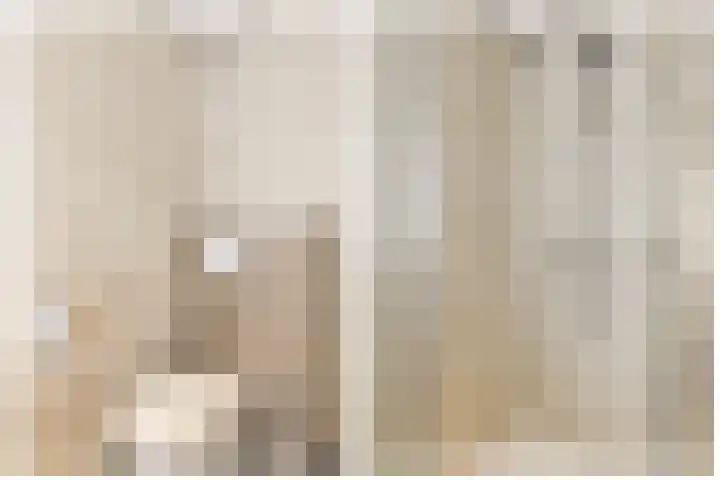 Julianastraat 32 Uden thumbnail 20