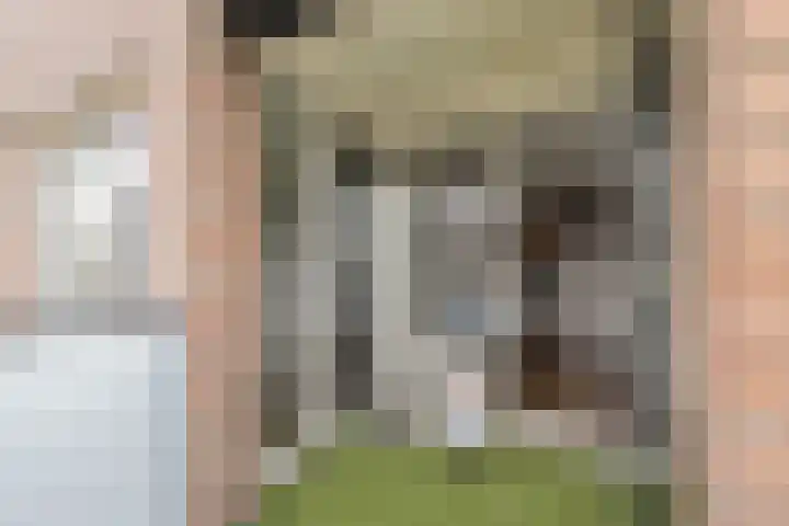 Julianastraat 32 Uden thumbnail 26