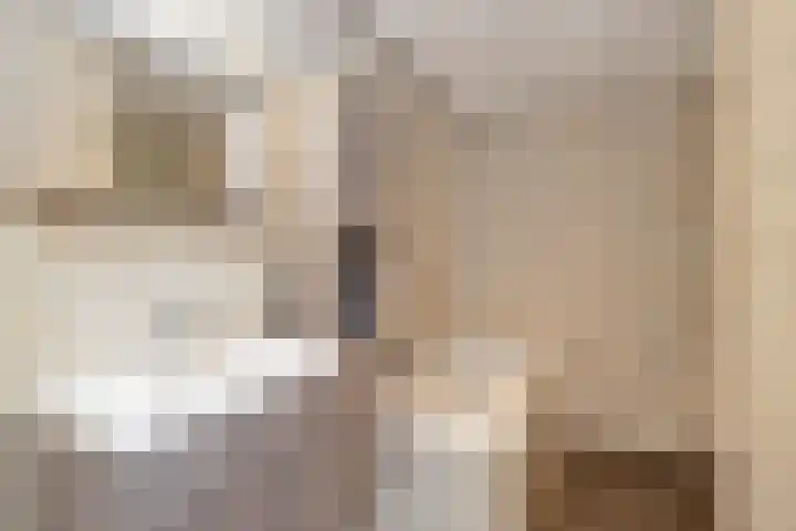 Julianastraat 32 Uden thumbnail 4