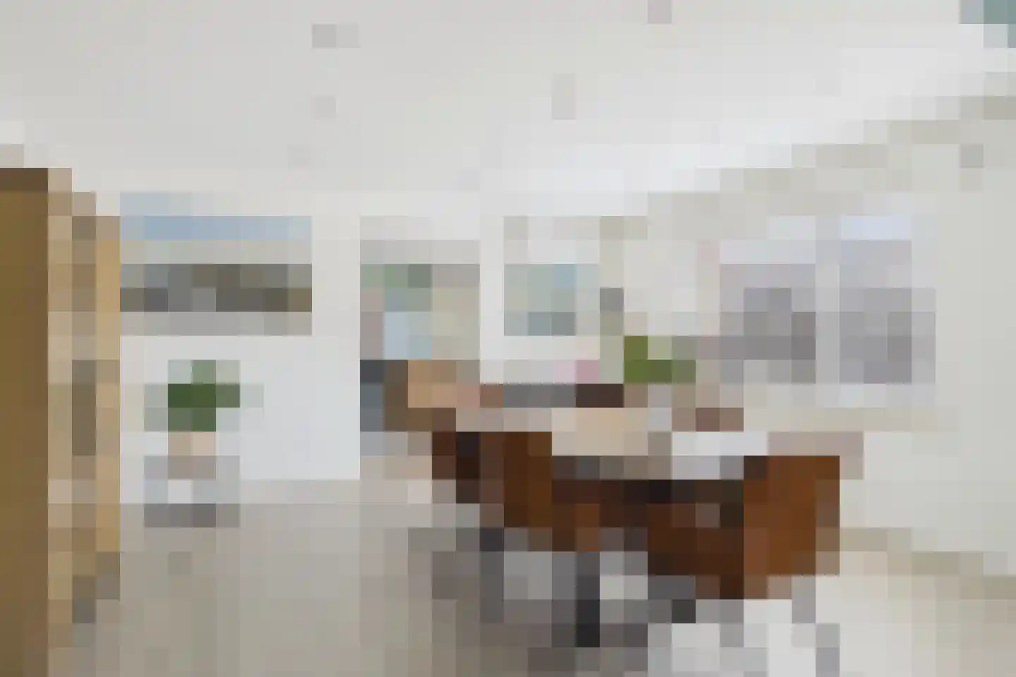 Julianastraat 33 Heikant thumbnail 16