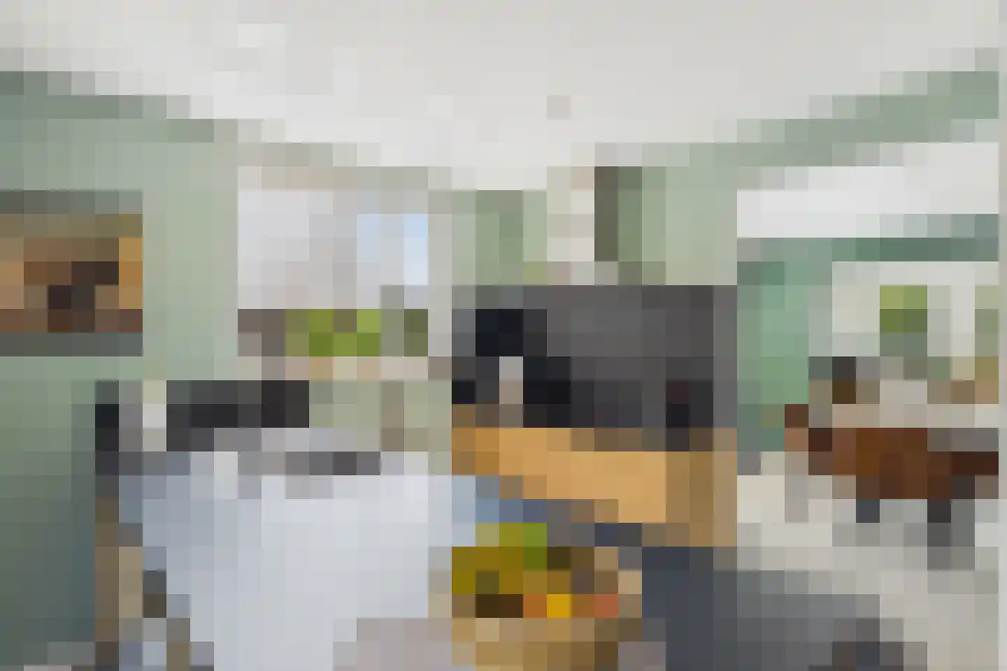 Julianastraat 33 Heikant thumbnail 17