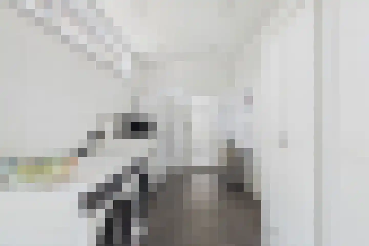 Julianastraat 33 Heikant thumbnail 19