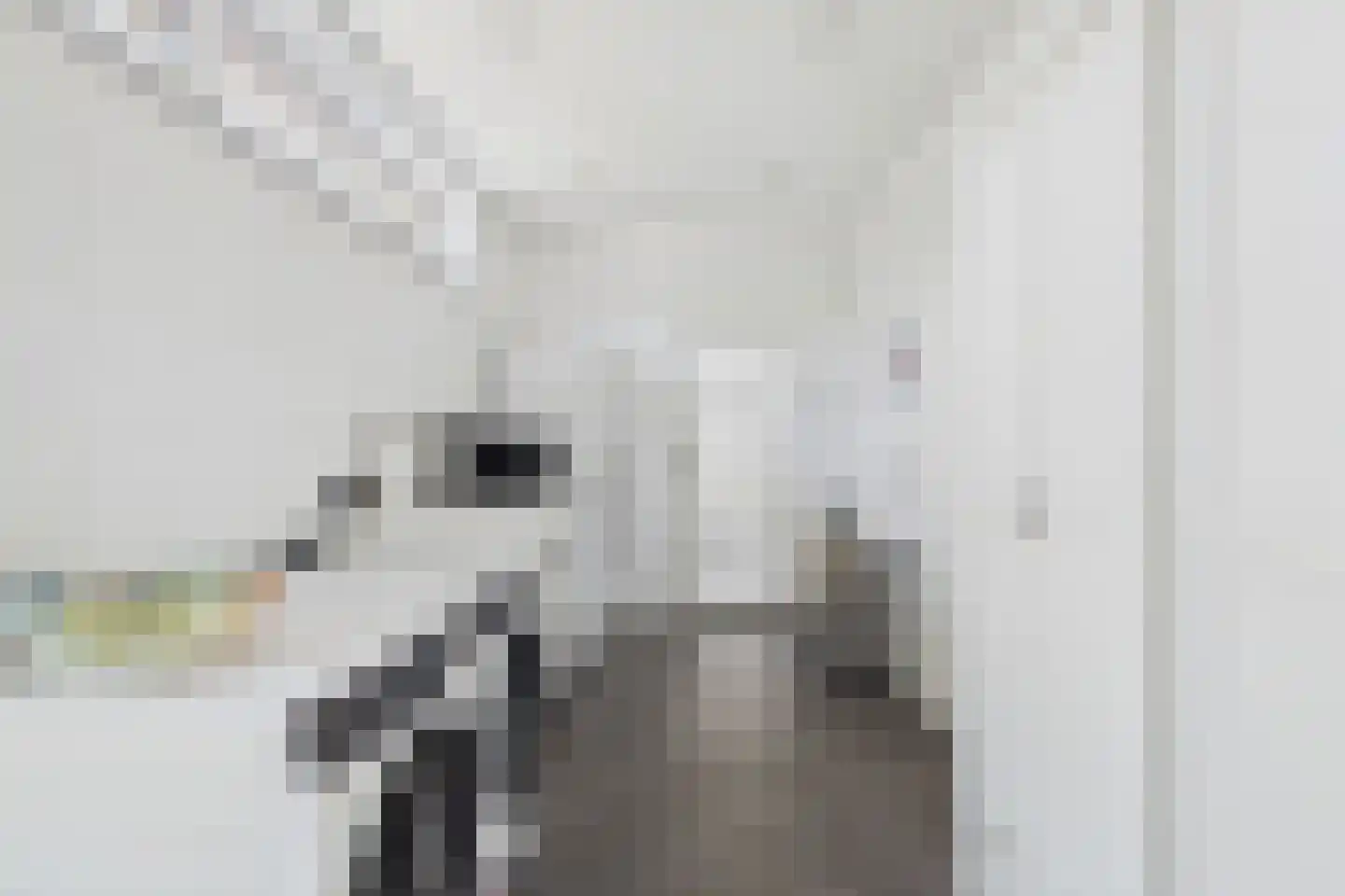 Julianastraat 33 Heikant thumbnail 20