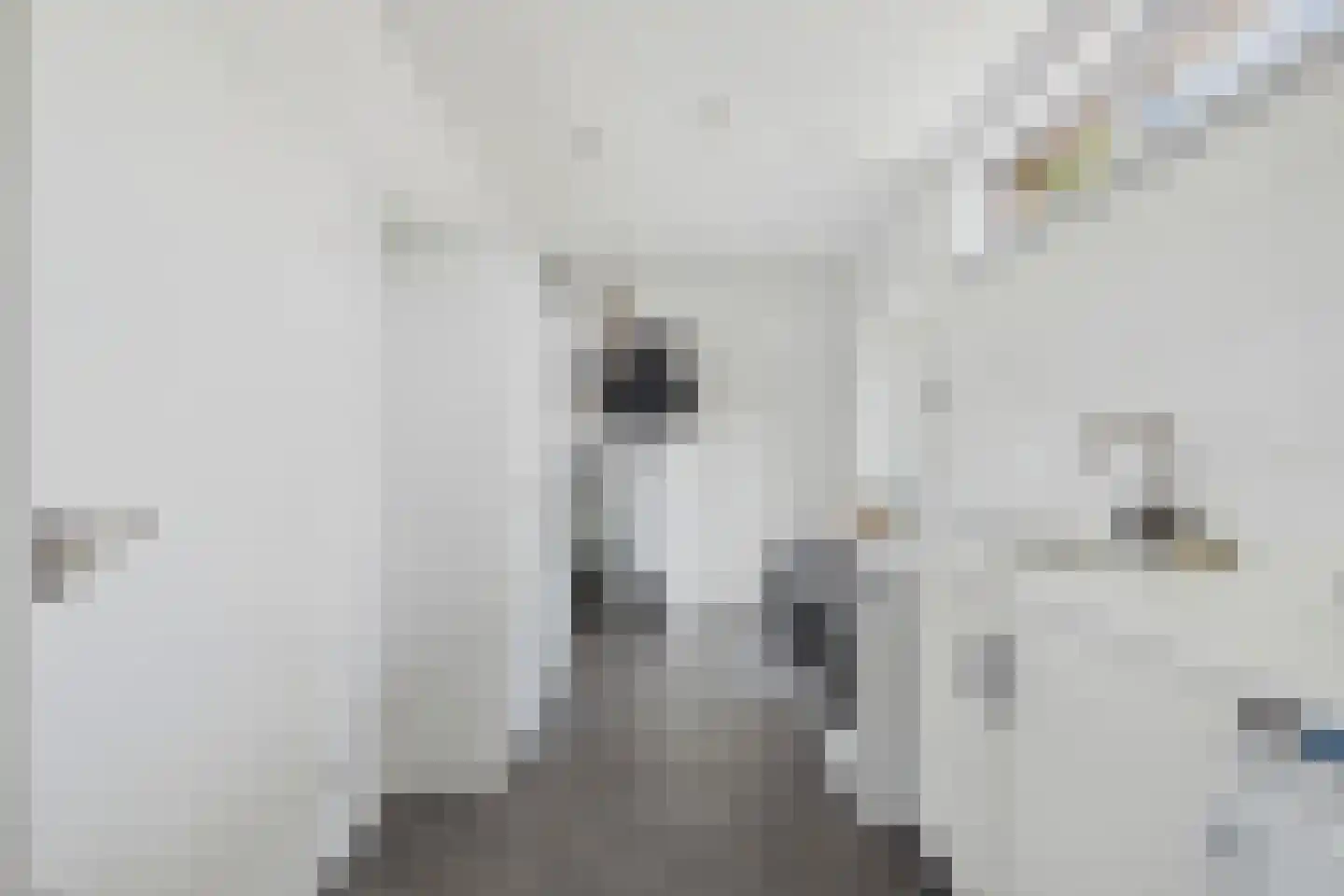 Julianastraat 33 Heikant thumbnail 21
