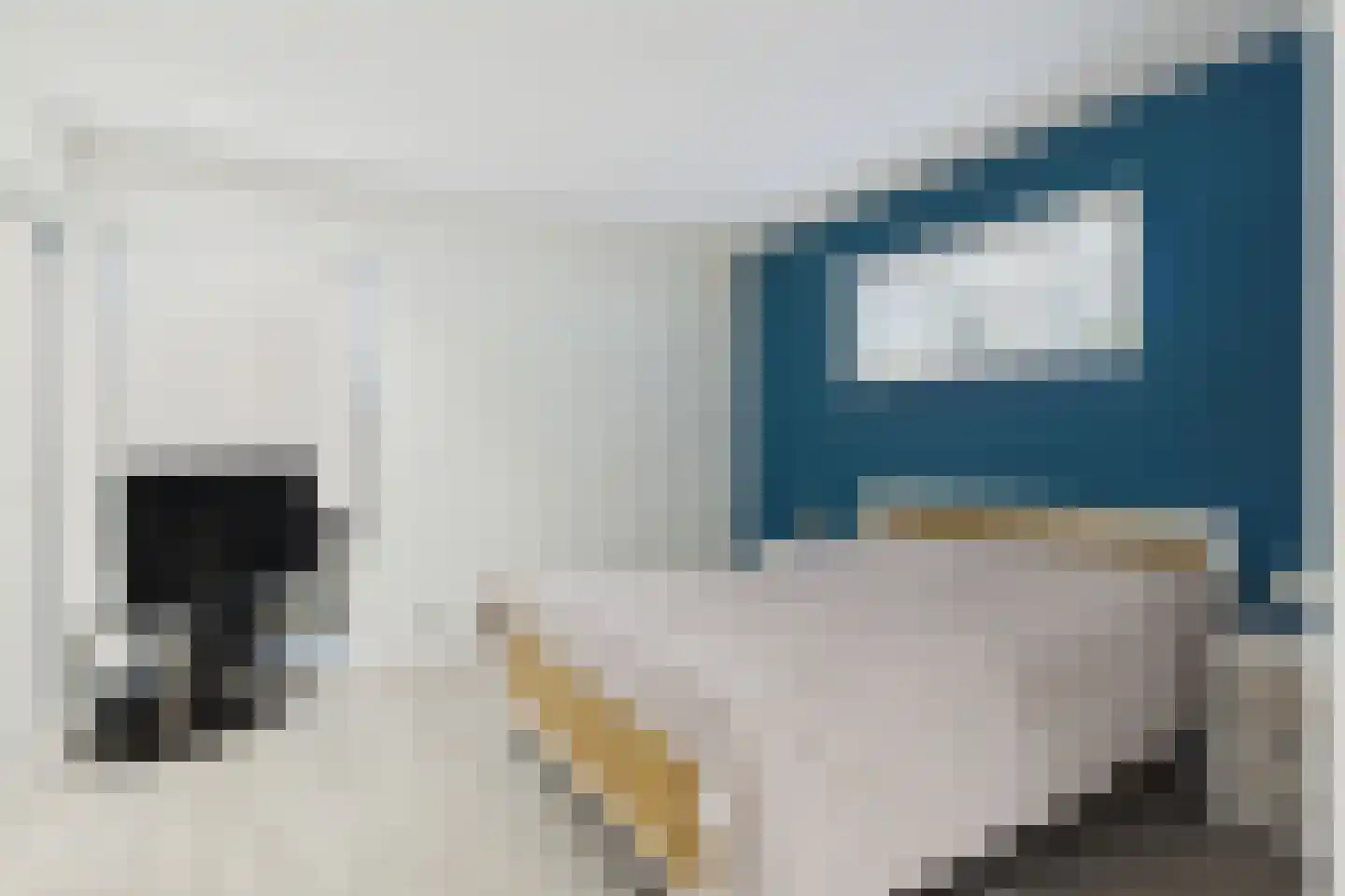 Julianastraat 33 Heikant thumbnail 23