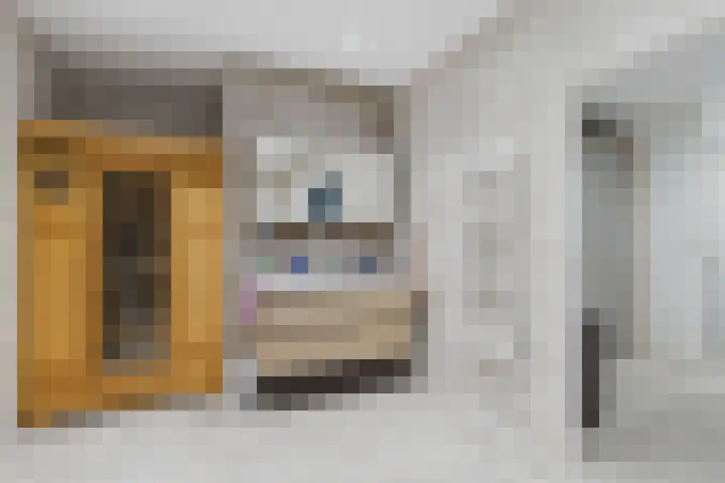 Julianastraat 33 Heikant thumbnail 25
