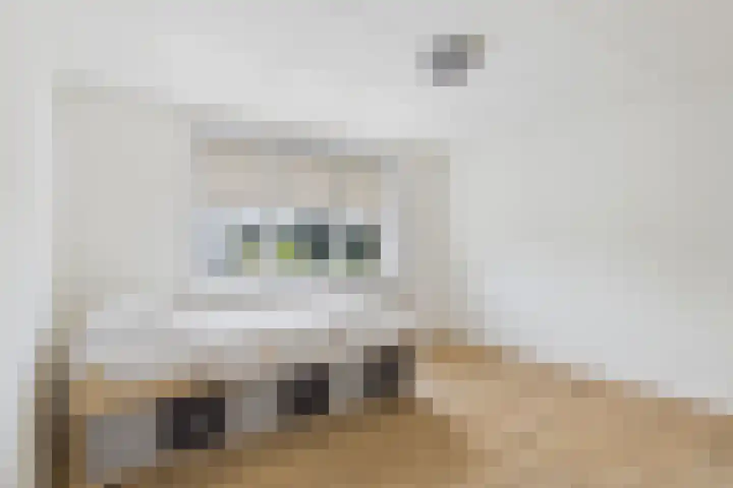 Julianastraat 33 Heikant thumbnail 32