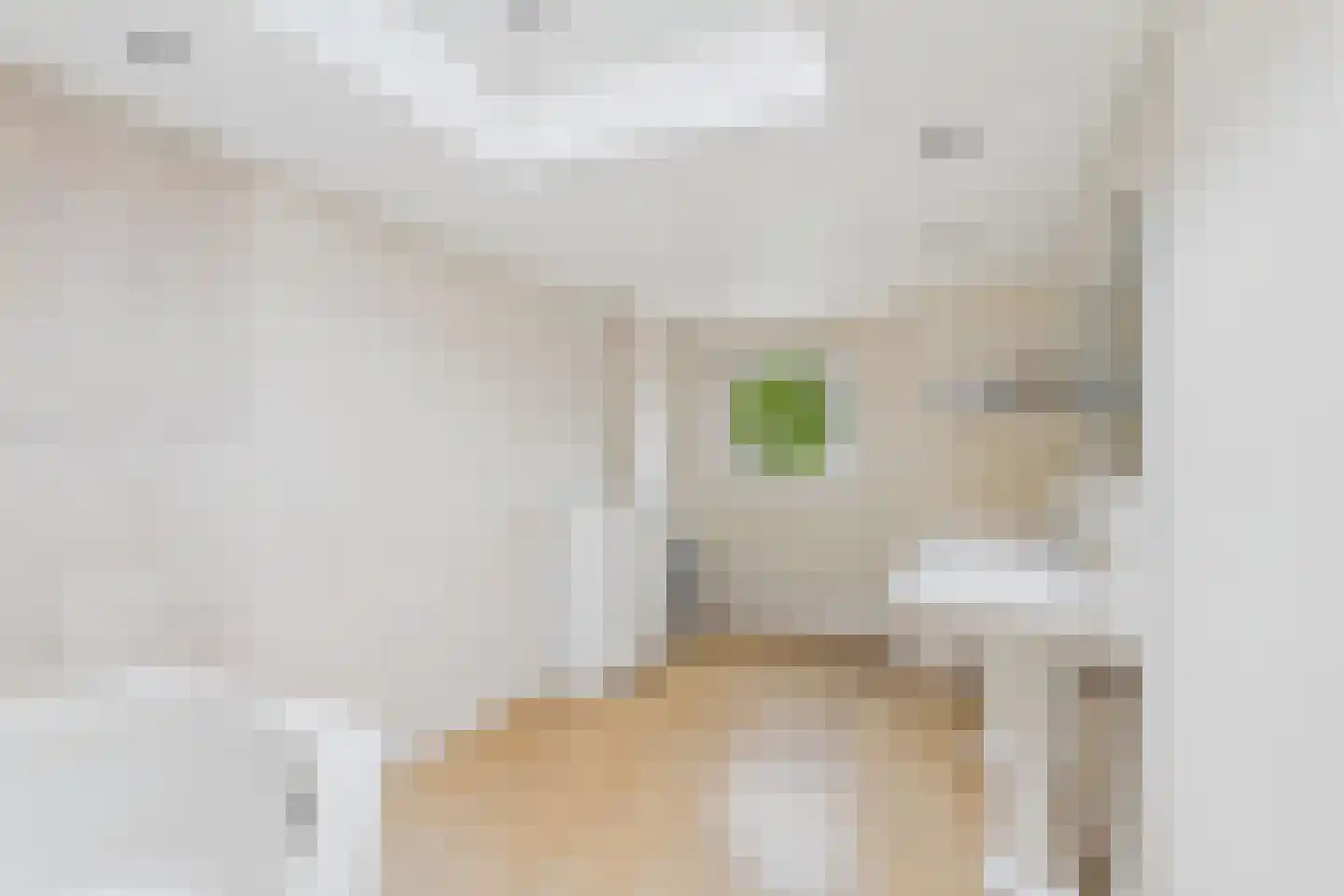Julianastraat 33 Heikant thumbnail 37