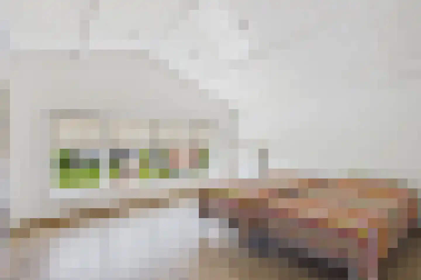 Julianastraat 33 Heikant thumbnail 38