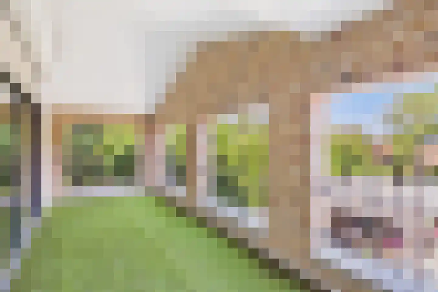 Julianastraat 33 Heikant thumbnail 45