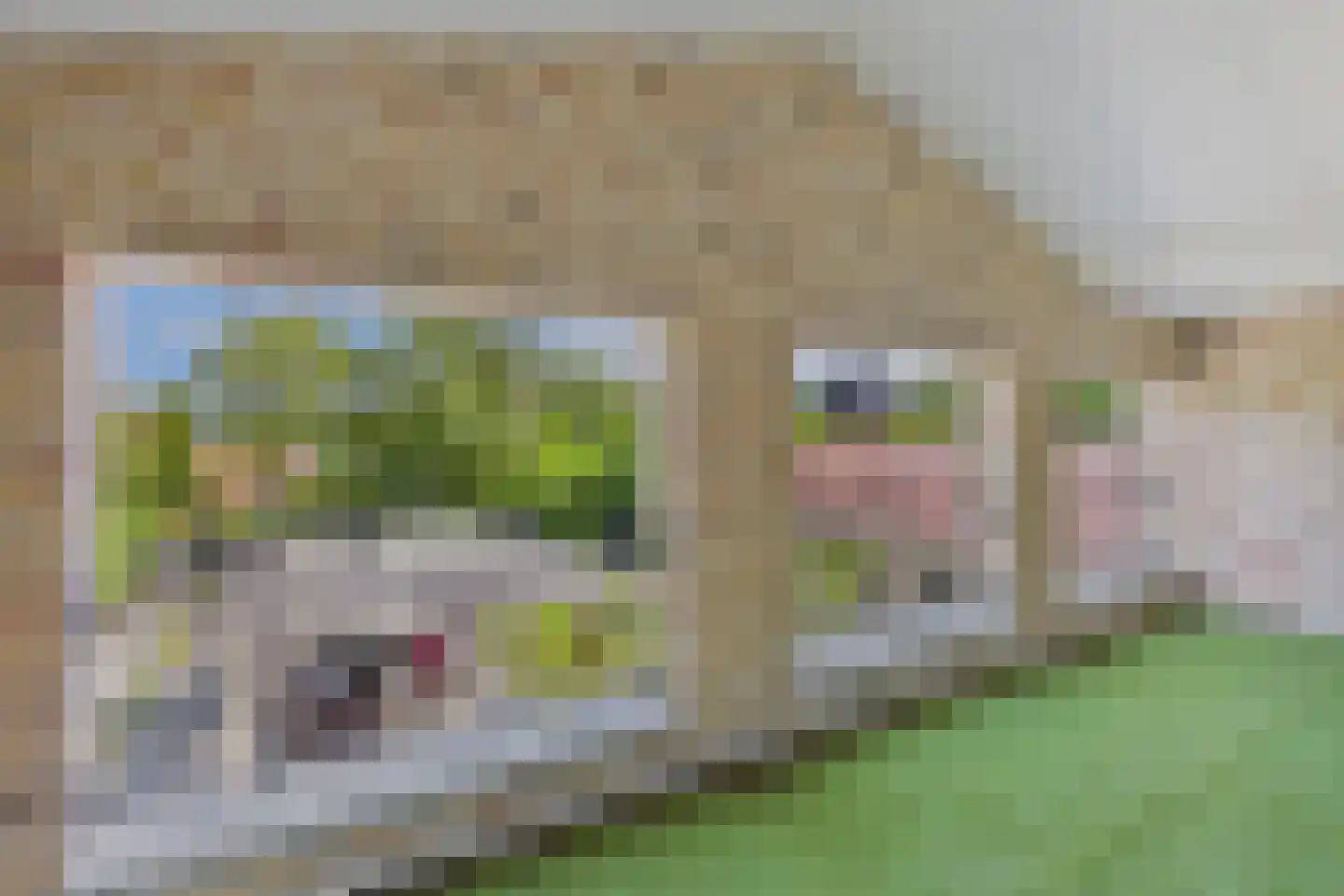 Julianastraat 33 Heikant thumbnail 47