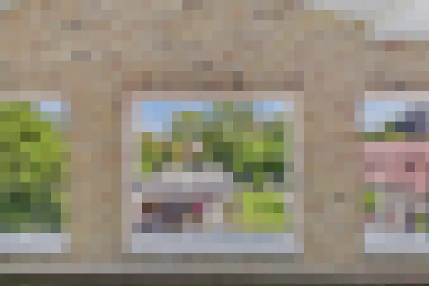 Julianastraat 33 Heikant thumbnail 49