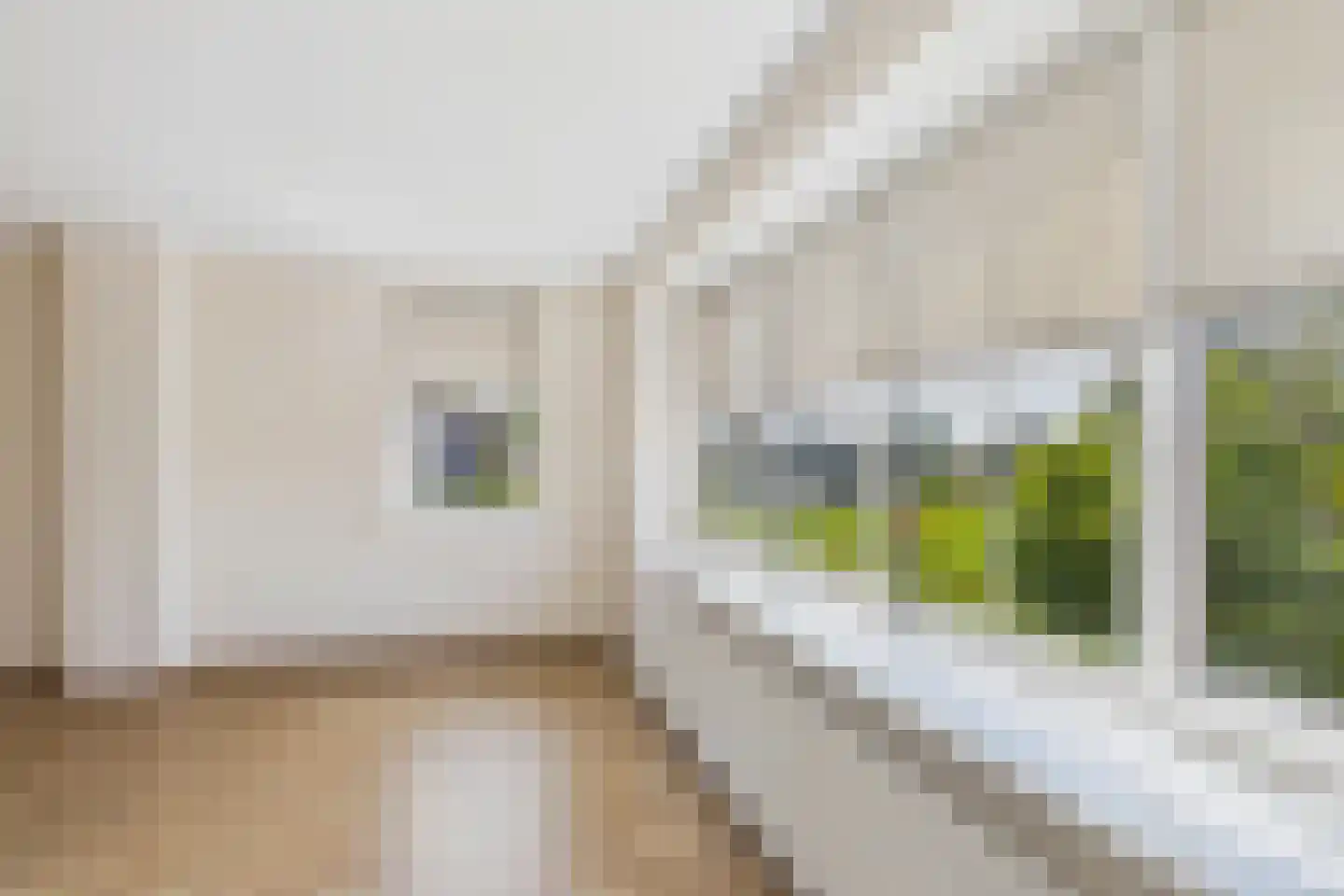 Julianastraat 33 Heikant thumbnail 59