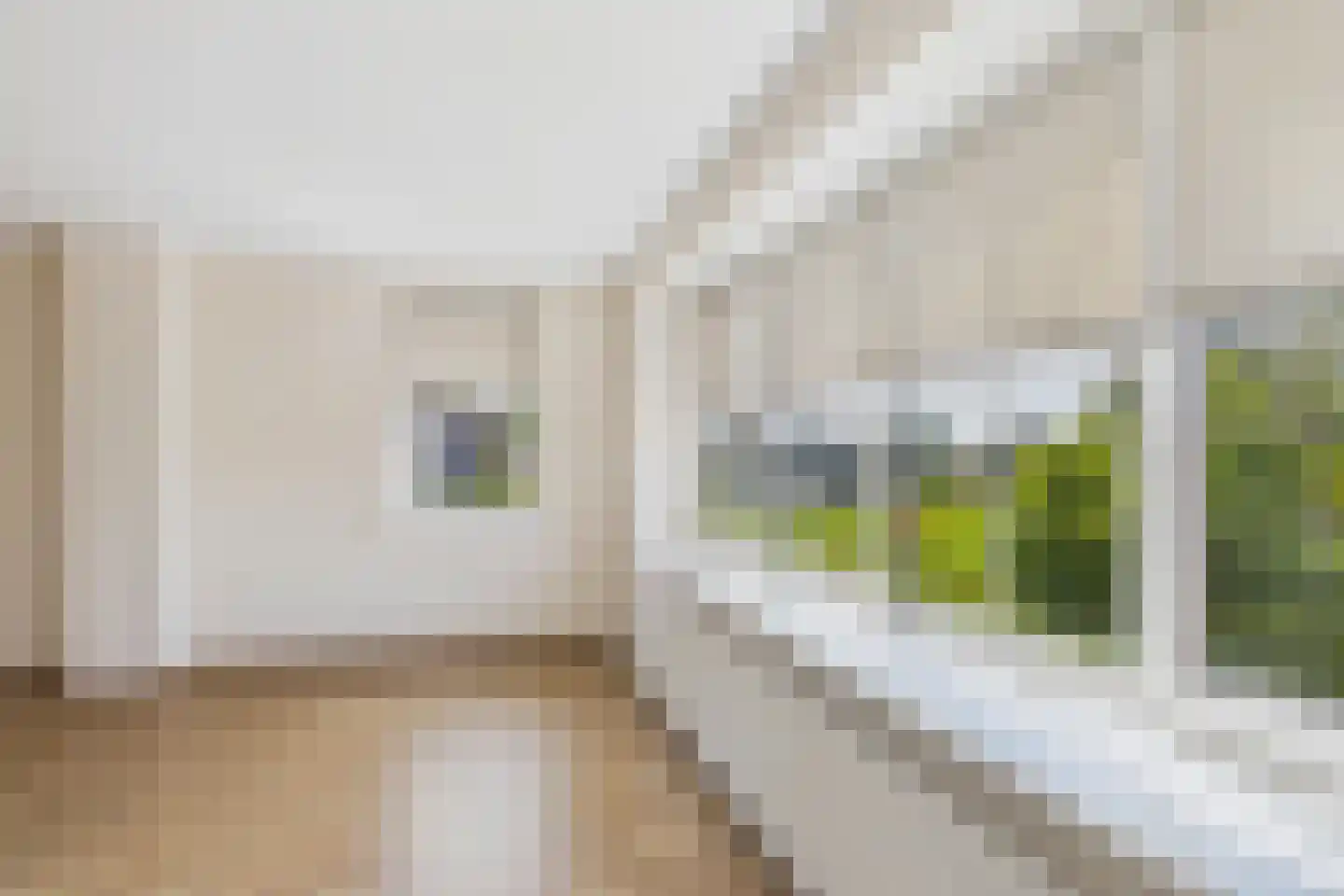 Julianastraat 33 Heikant thumbnail 60