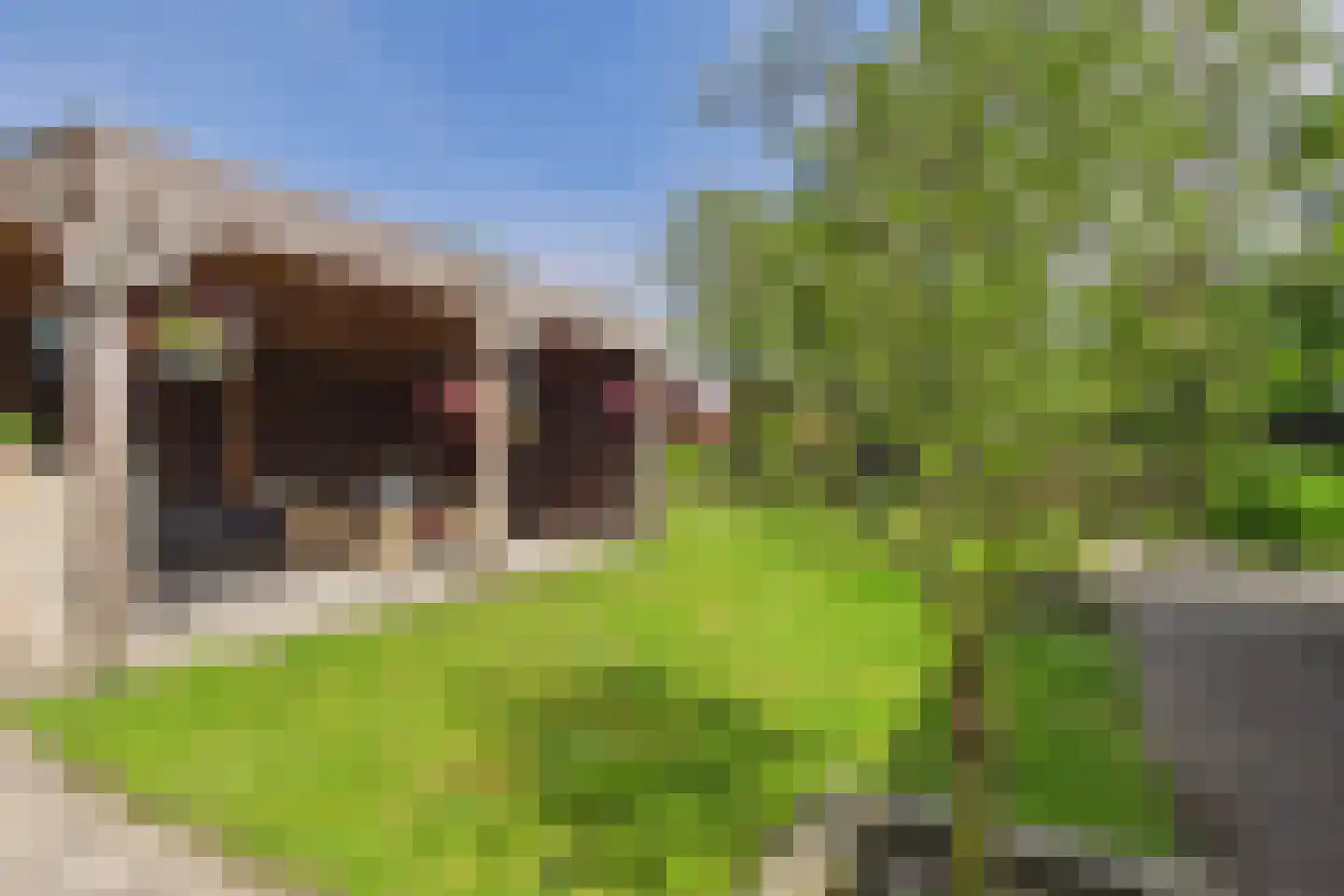 Julianastraat 33 Heikant thumbnail 65