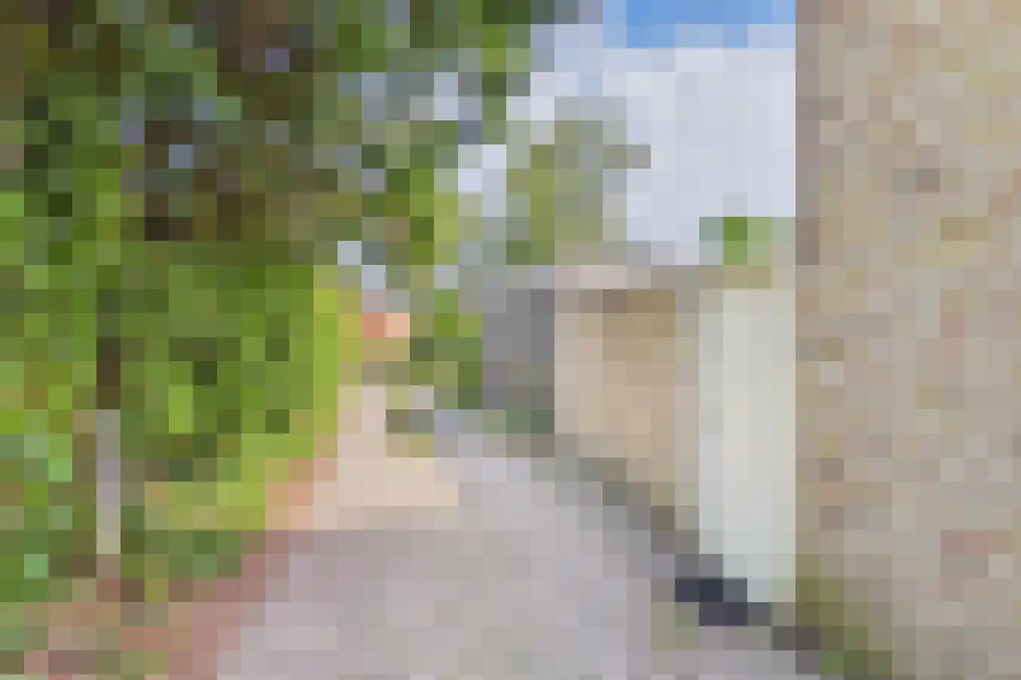 Julianastraat 33 Heikant thumbnail 70