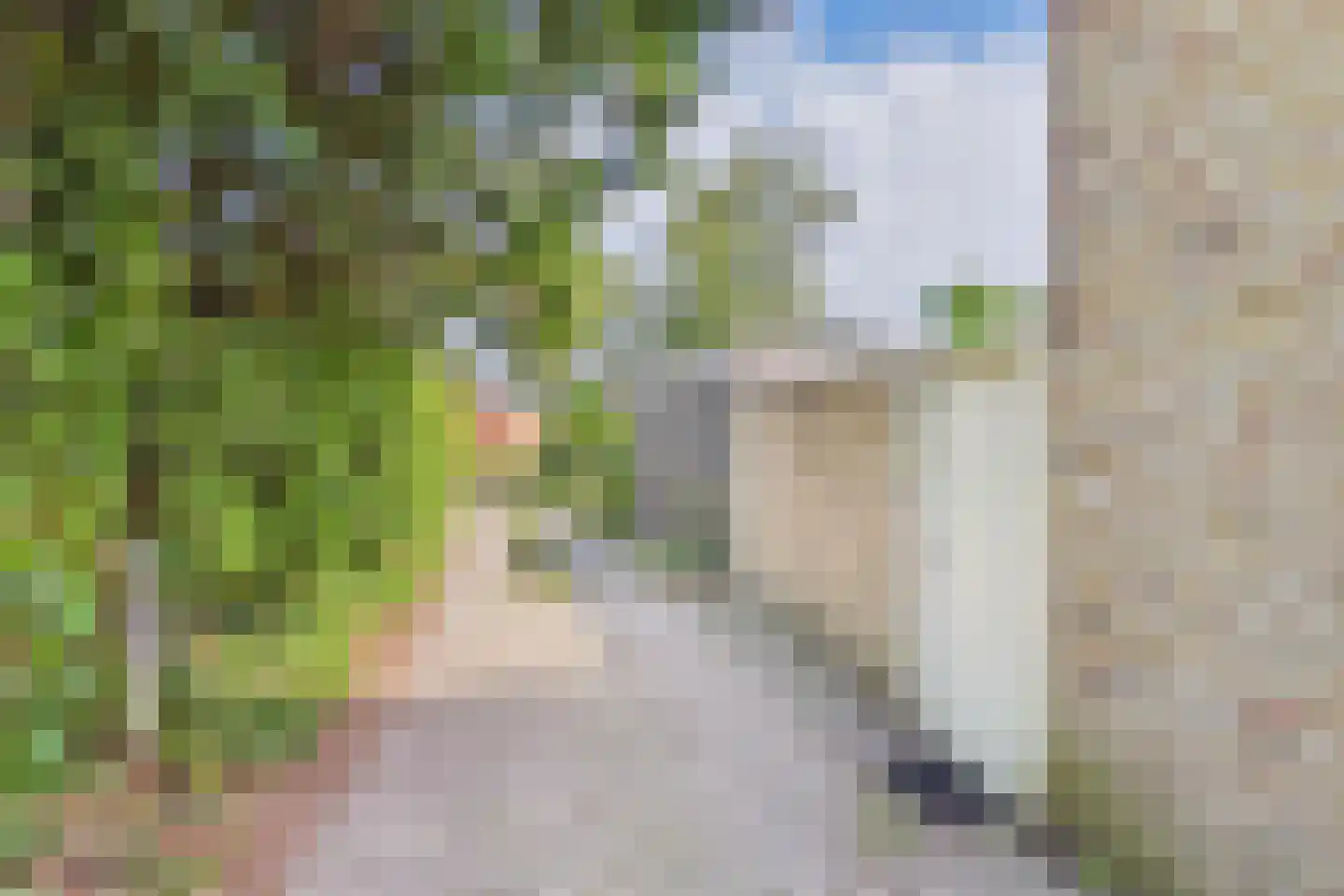 Julianastraat 33 Heikant thumbnail 71