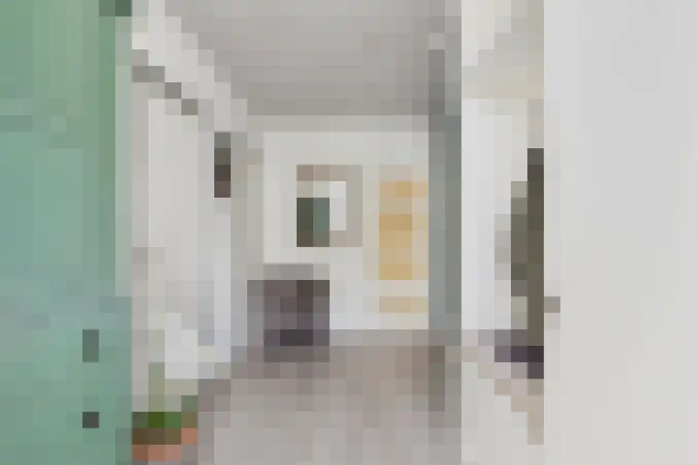 Julianastraat 33 Heikant thumbnail 8