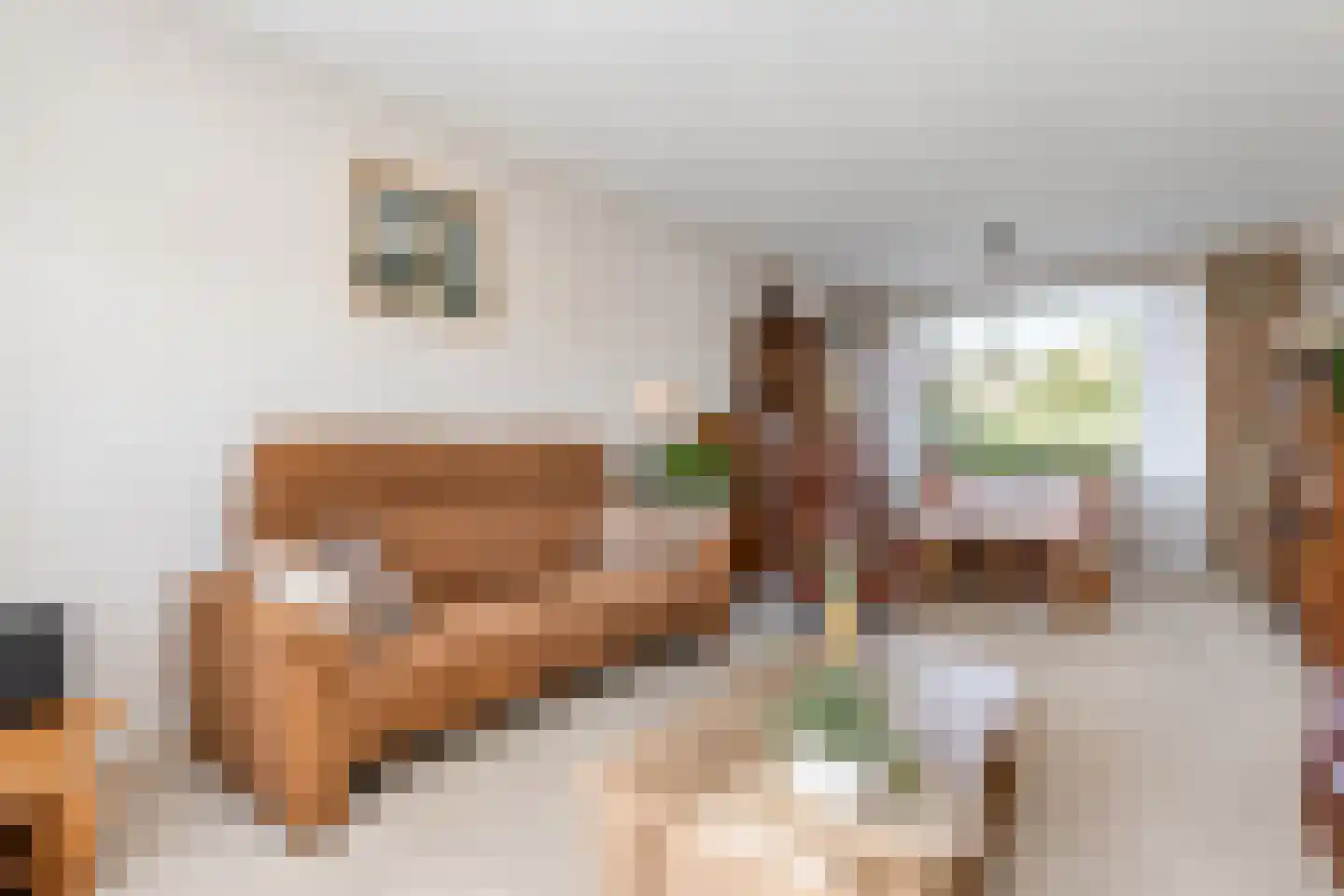 Julianastraat 33 Hoek thumbnail 12
