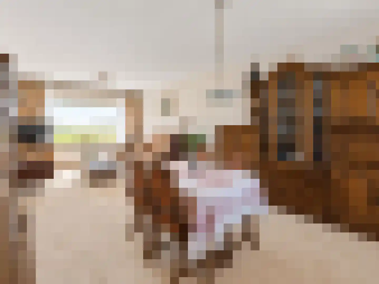 Julianastraat 33 Hoek thumbnail 14