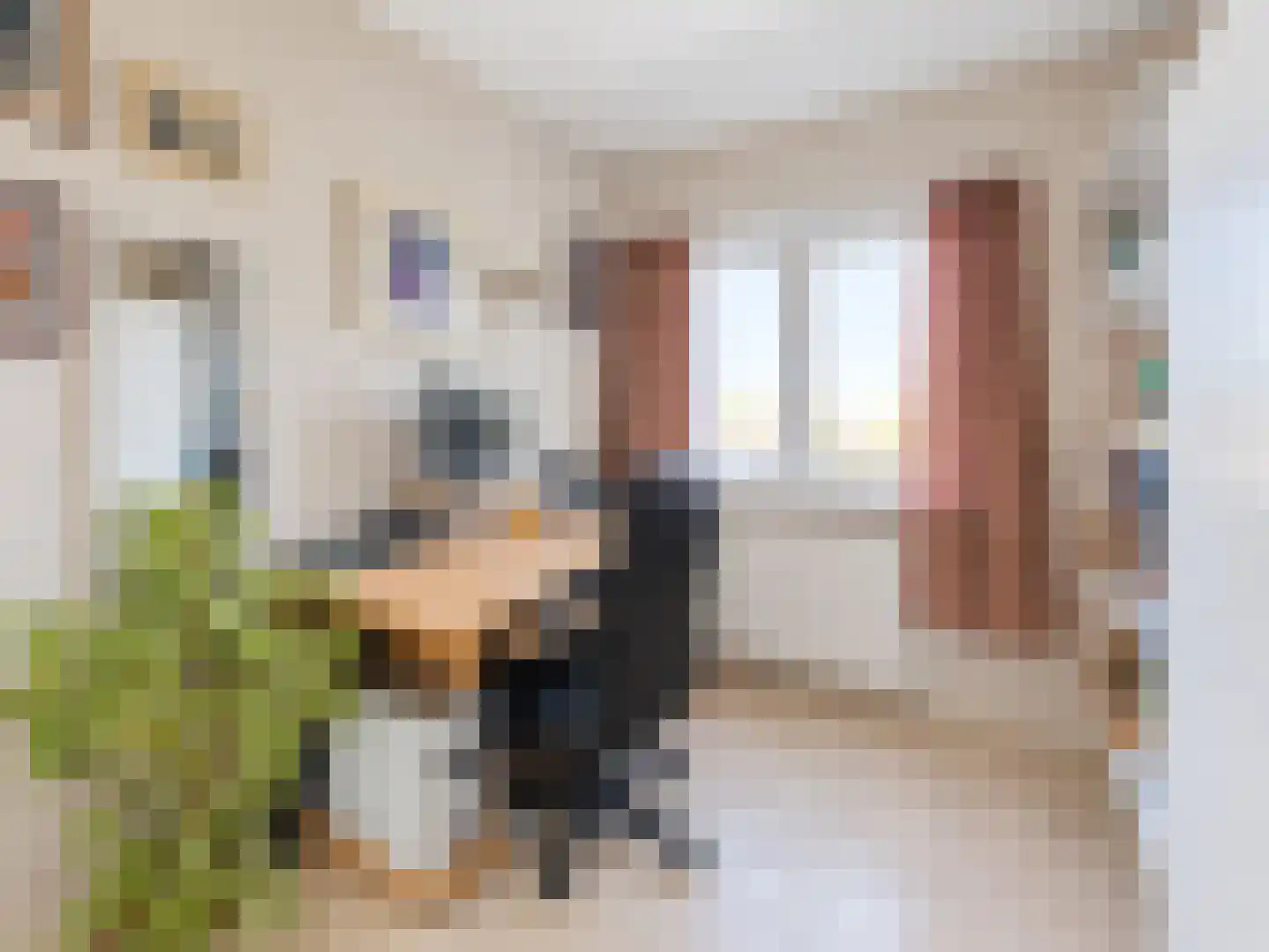 Julianastraat 33 Hoek thumbnail 23