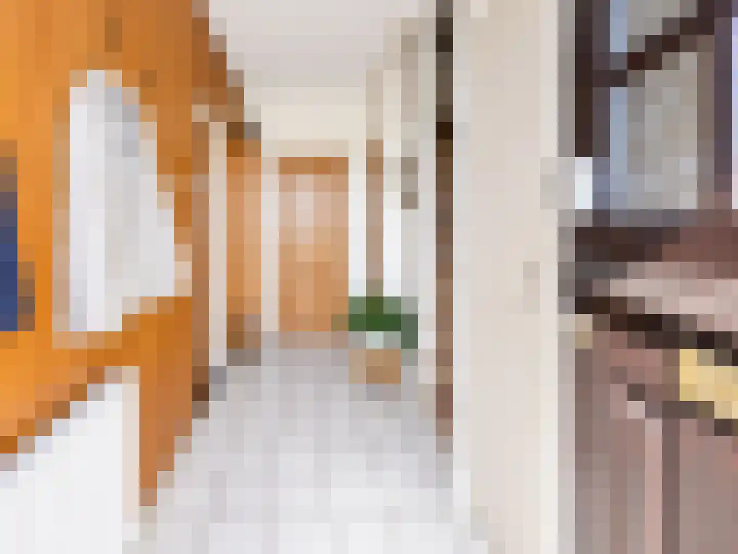 Julianastraat 33 Hoek thumbnail 7