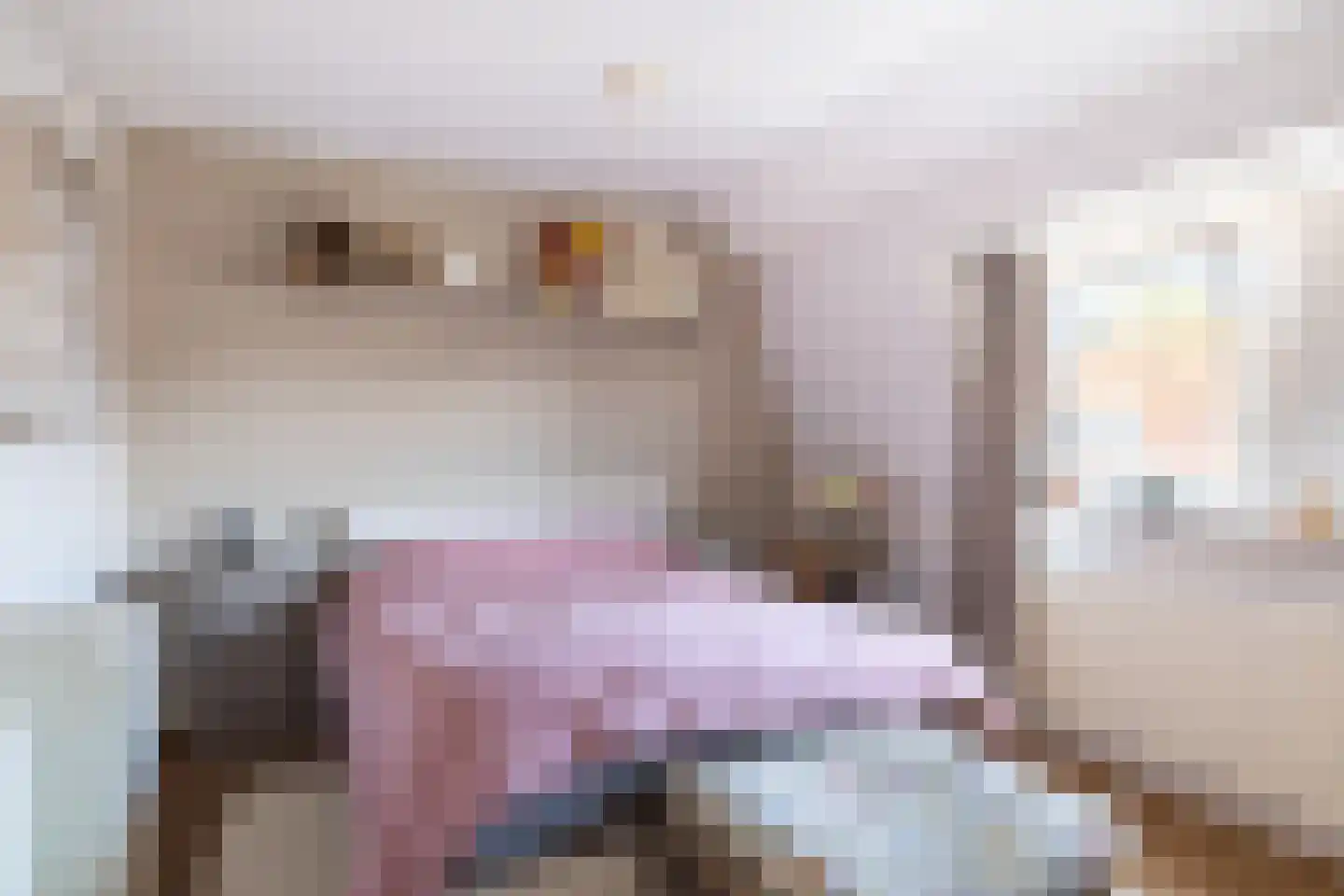 Julianastraat 33 Kampen thumbnail 20