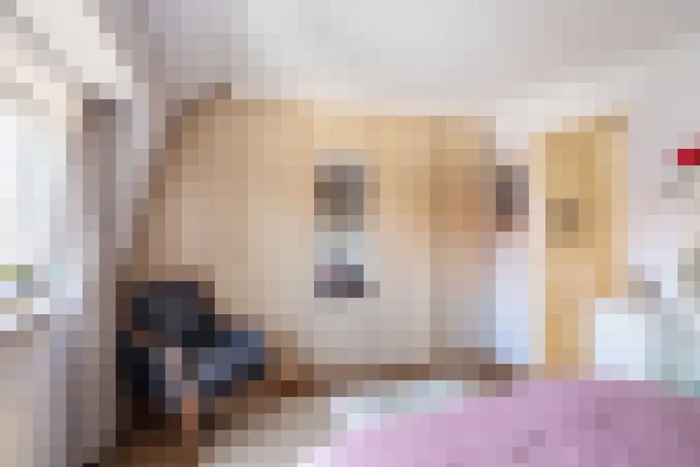 Julianastraat 33 Kampen thumbnail 21
