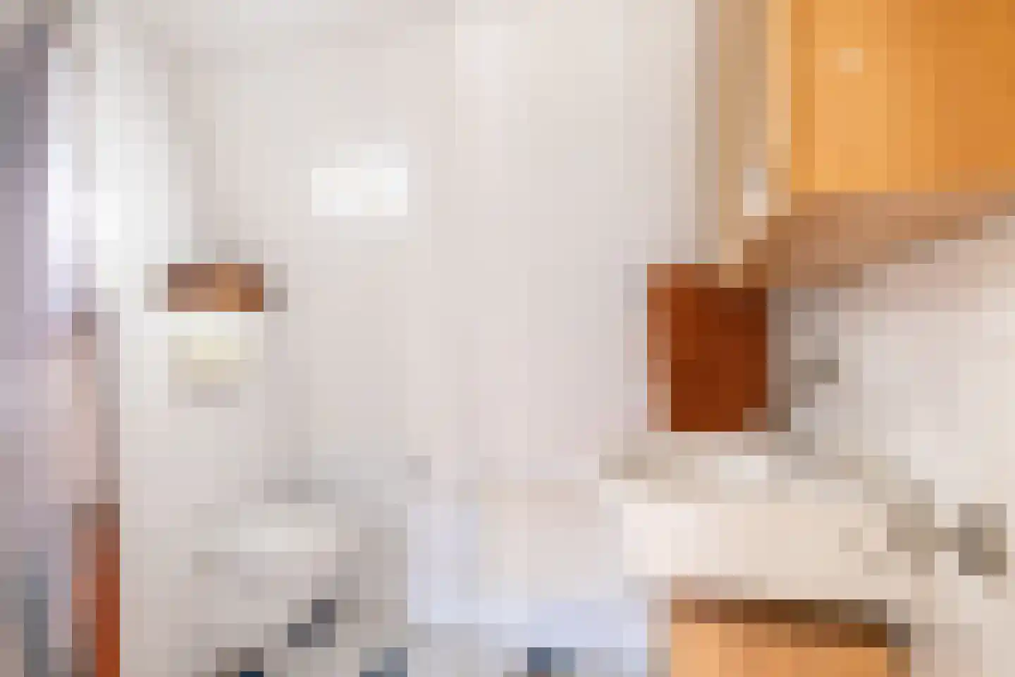 Julianastraat 33 Kampen thumbnail 24