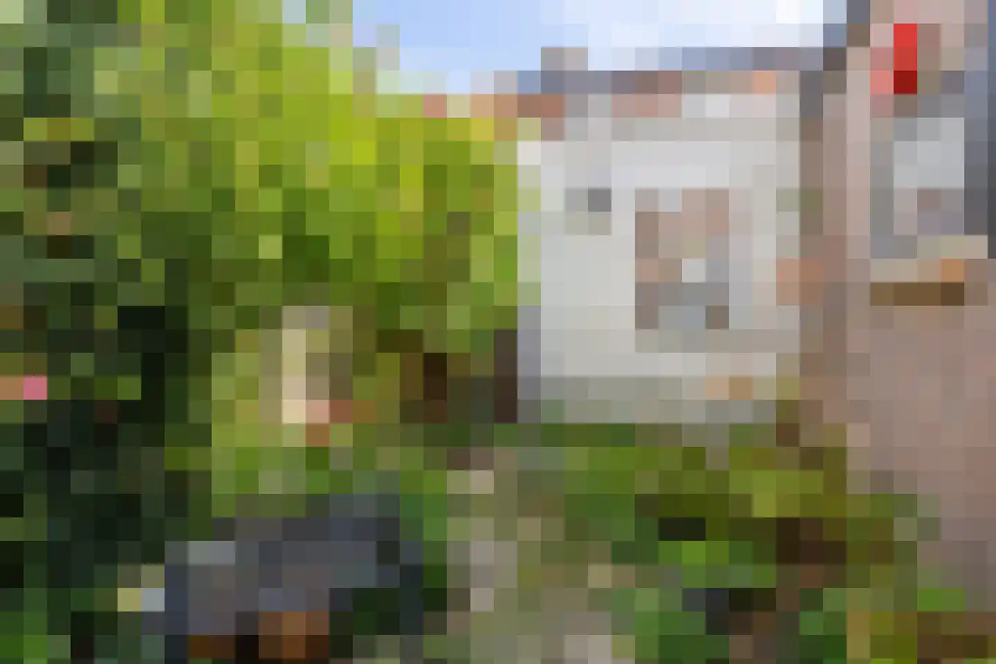 Julianastraat 33 Kampen thumbnail 31
