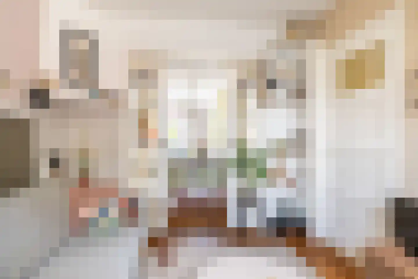 Julianastraat 33 Kampen thumbnail 9