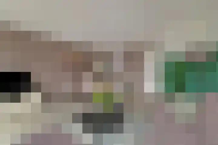 Julianastraat 33 Strijen thumbnail 13
