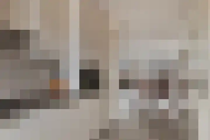 Julianastraat 33 Strijen thumbnail 17