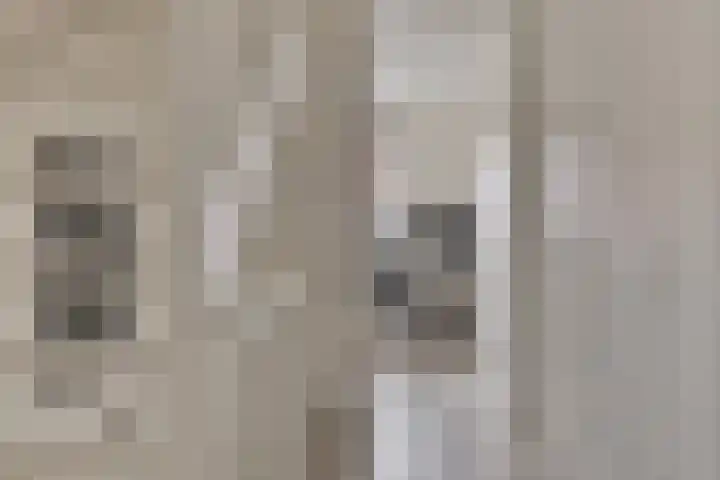 Julianastraat 33 Strijen thumbnail 18