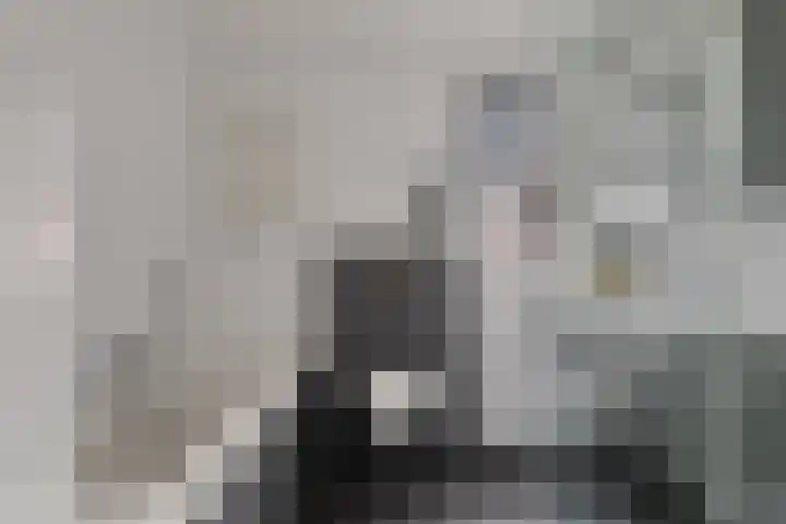 Julianastraat 33 Strijen thumbnail 20