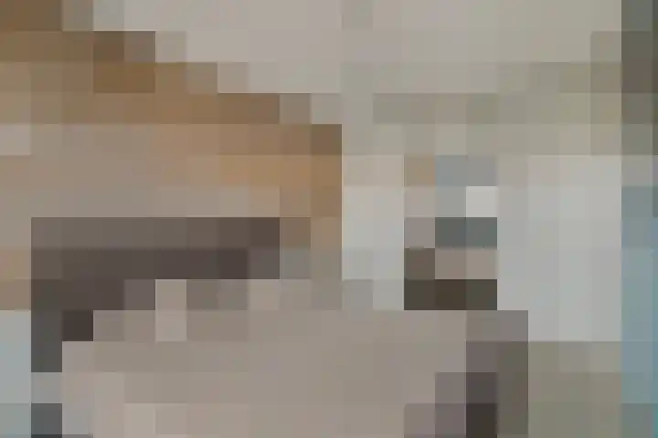 Julianastraat 33 Strijen thumbnail 24