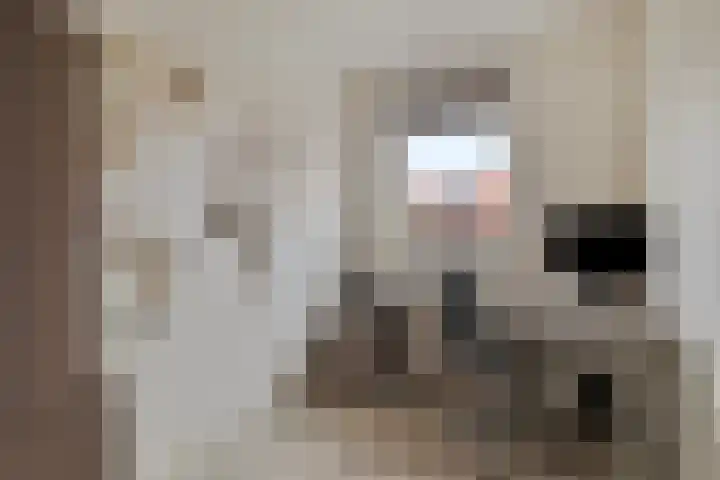 Julianastraat 33 Strijen thumbnail 25