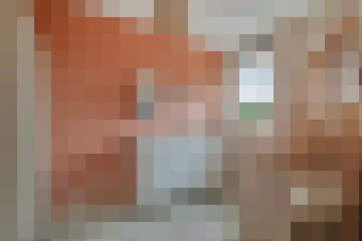 Julianastraat 33 Strijen thumbnail 26