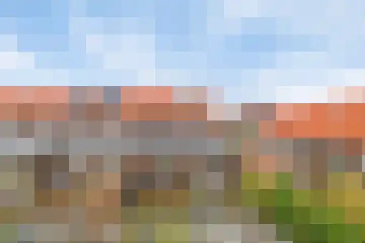 Julianastraat 33 Strijen thumbnail 30