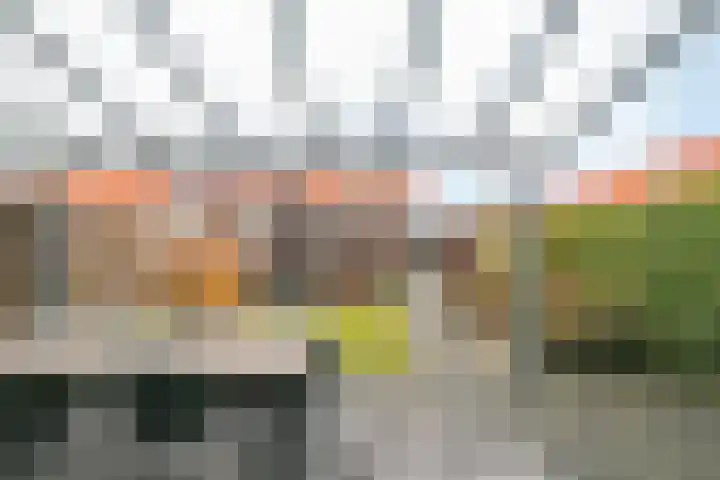 Julianastraat 33 Strijen thumbnail 31