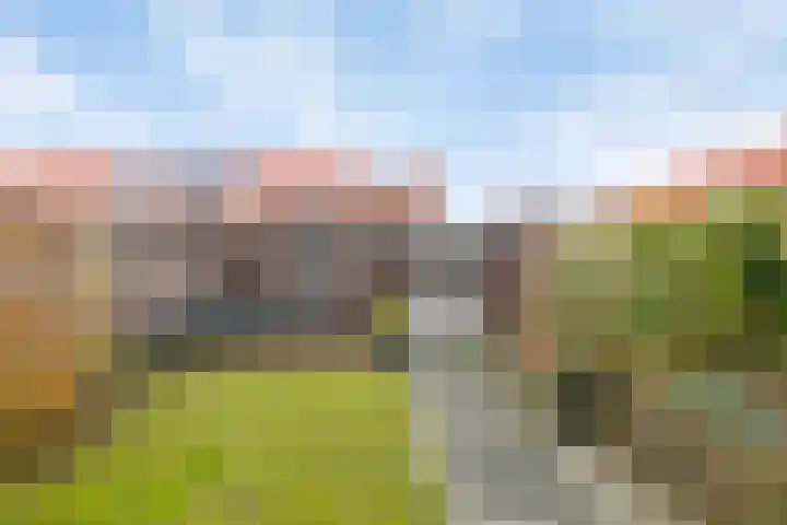 Julianastraat 33 Strijen thumbnail 32