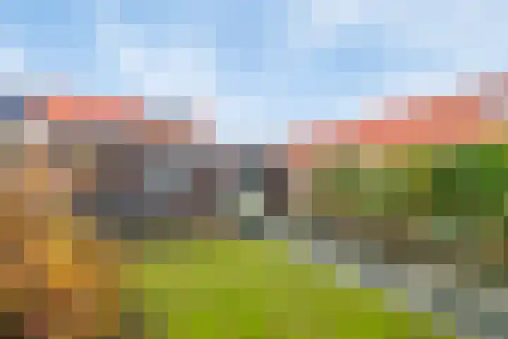 Julianastraat 33 Strijen thumbnail 33