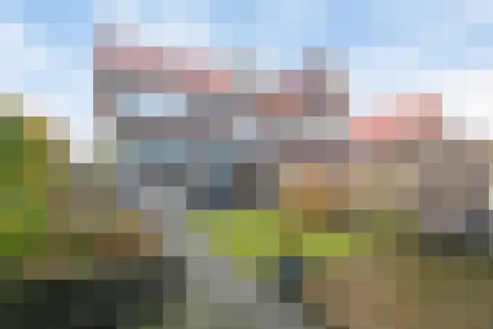 Julianastraat 33 Strijen thumbnail 34
